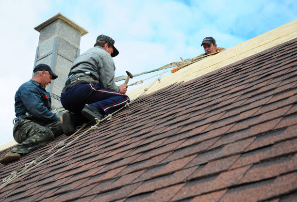 Best Storm Damage Roof Repair  in Campbellsport, WI